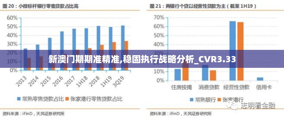 新澳门期期准精准,稳固执行战略分析_CVR3.33