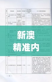 新澳精准内部码资料期期准,平衡执行计划实施_HPL3.29