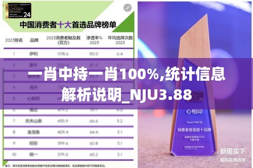 一肖中持一肖100%,统计信息解析说明_NJU3.88