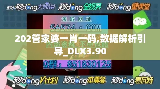 202管家婆一肖一码,数据解析引导_DLX3.90