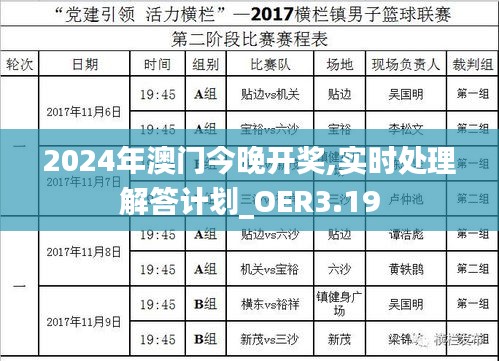 2024年澳门今晚开奖,实时处理解答计划_OER3.19