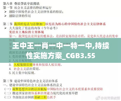 王中王一肖一中一特一中,持续性实施方案_CGB3.55