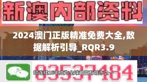 2024澳门正版精准免费大全,数据解析引导_RQR3.9