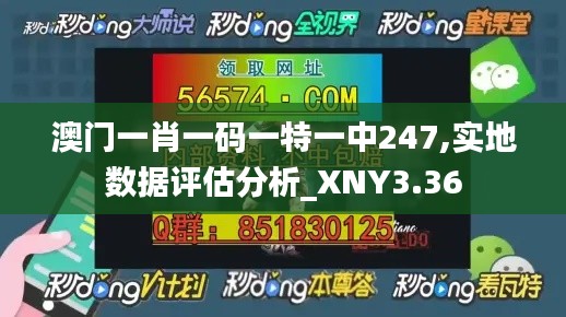 澳门一肖一码一特一中247,实地数据评估分析_XNY3.36