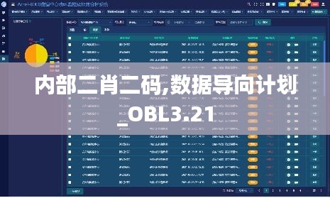 内部二肖二码,数据导向计划_OBL3.21