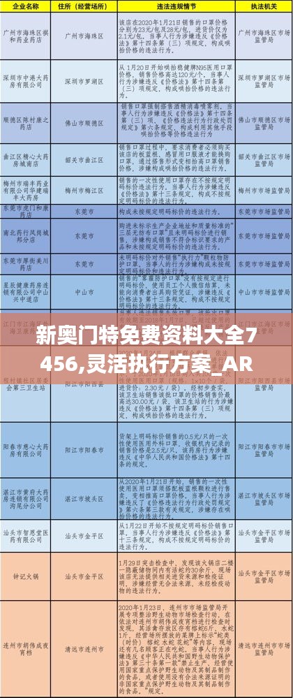 新奥门特免费资料大全7456,灵活执行方案_ARY3.33