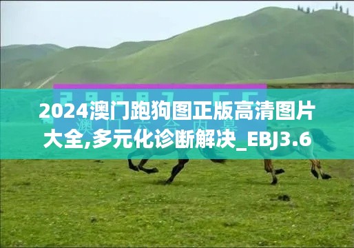 2024澳门跑狗图正版高清图片大全,多元化诊断解决_EBJ3.6