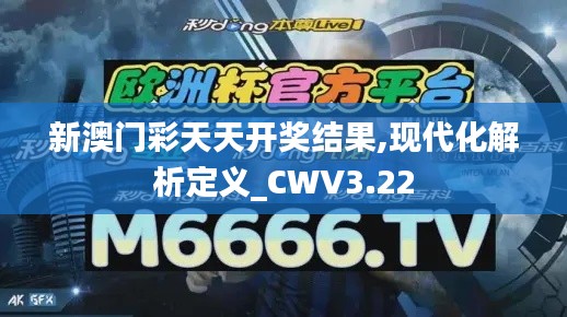 新澳门彩天天开奖结果,现代化解析定义_CWV3.22