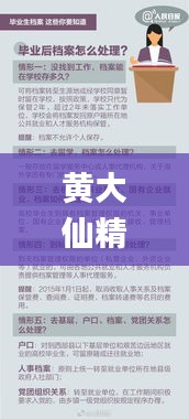 黄大仙精准码料资料,实地验证实施_UXR3.5