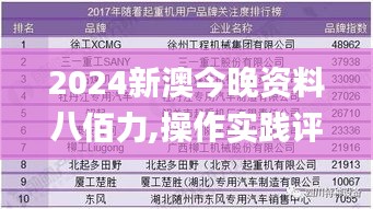 2024新澳今晚资料八佰力,操作实践评估_DRK3.59