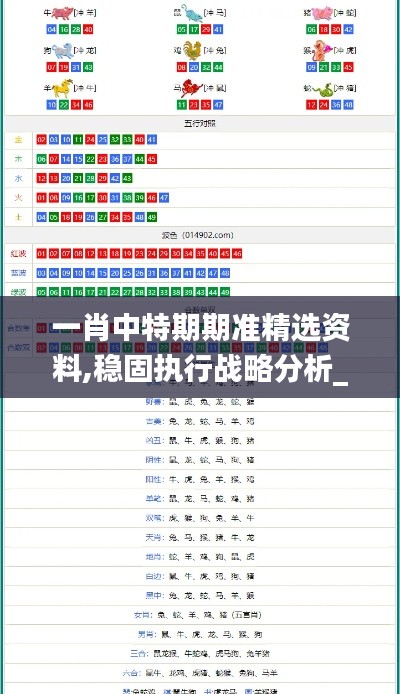 一肖中特期期准精选资料,稳固执行战略分析_IRY3.85