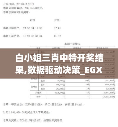 白小姐三肖中特开奖结果,数据驱动决策_EGX3.37