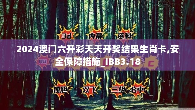 2024澳门六开彩天天开奖结果生肖卡,安全保障措施_IBB3.18