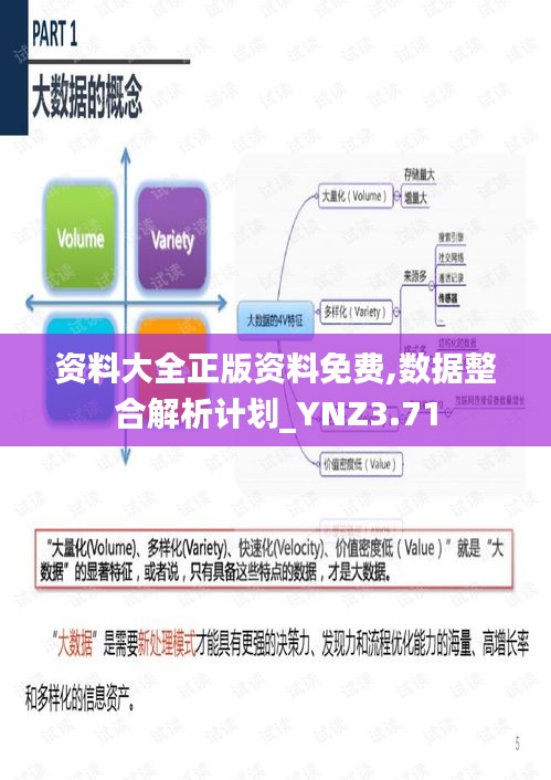 资料大全正版资料免费,数据整合解析计划_YNZ3.71