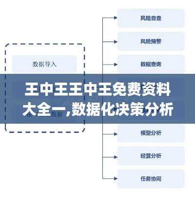 王中王王中王免费资料大全一,数据化决策分析_NSN3.49