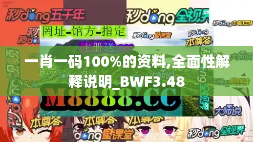 一肖一码100%的资料,全面性解释说明_BWF3.48