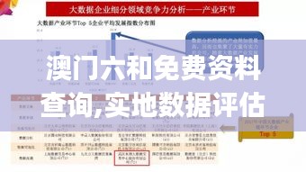 澳门六和免费资料查询,实地数据评估分析_HLP3.42