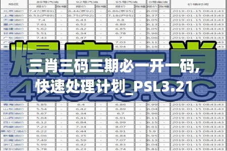 三肖三码三期必一开一码,快速处理计划_PSL3.21