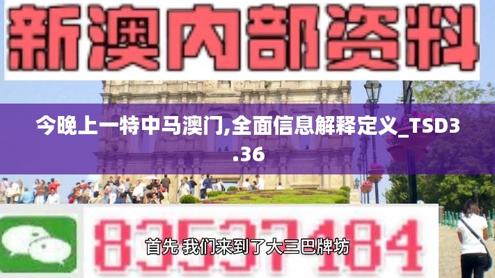 今晚上一特中马澳门,全面信息解释定义_TSD3.36