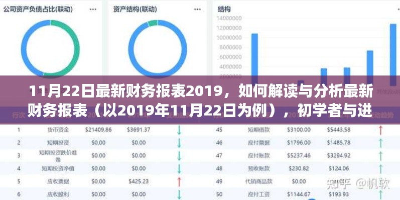 详细解读与分析，最新财务报表（以2019年11月22日为例）的初学者与进阶用户指南