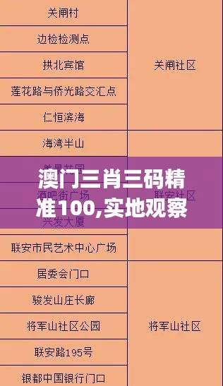 澳门三肖三码精准100,实地观察解释定义_SKP3.31