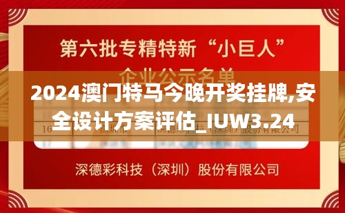 2024澳门特马今晚开奖挂牌,安全设计方案评估_IUW3.24