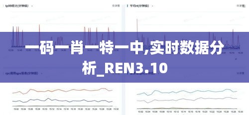 一码一肖一特一中,实时数据分析_REN3.10