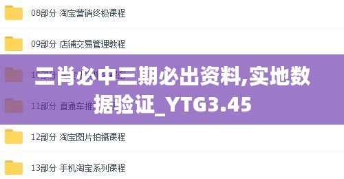 三肖必中三期必出资料,实地数据验证_YTG3.45