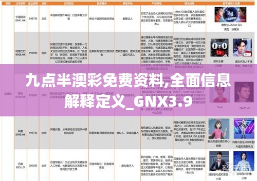 九点半澳彩免费资料,全面信息解释定义_GNX3.9