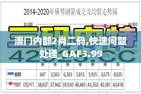 澳门内部2肖二码,快速问题处理_GAF3.99