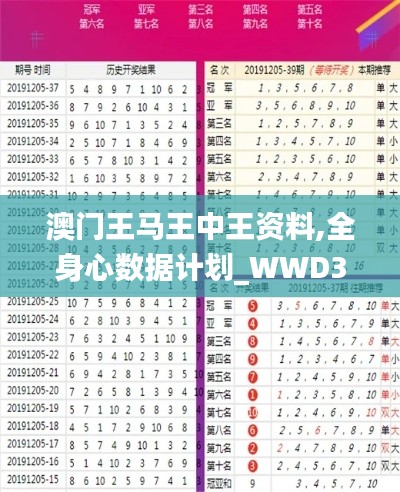 澳门王马王中王资料,全身心数据计划_WWD3.15