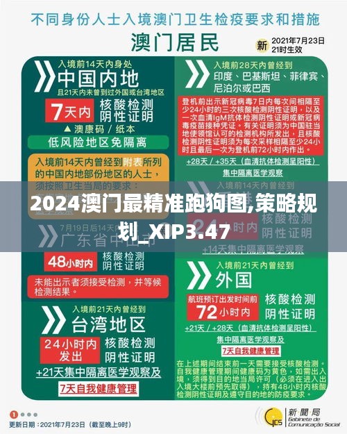 2024澳门最精准跑狗图,策略规划_XIP3.47