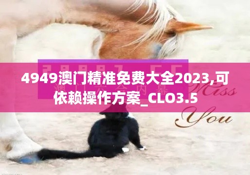 4949澳门精准免费大全2023,可依赖操作方案_CLO3.5