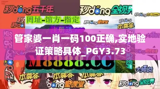 管家婆一肖一码100正确,实地验证策略具体_PGY3.73