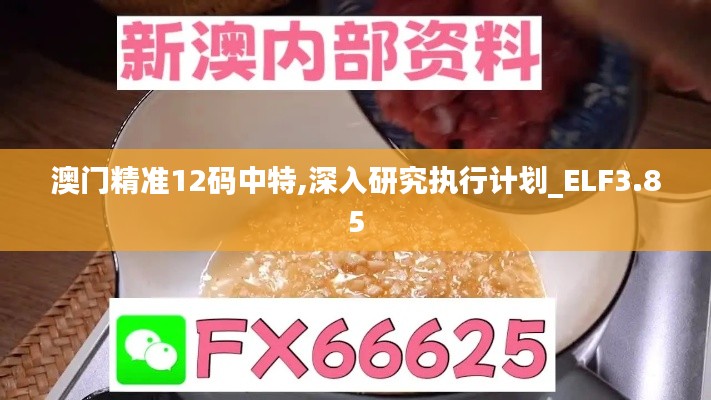 澳门精准12码中特,深入研究执行计划_ELF3.85