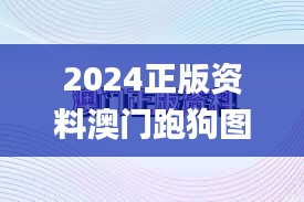 2024正版资料澳门跑狗图,信息明晰解析导向_XTL3.73