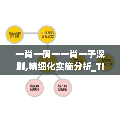 一肖一码一一肖一子深圳,精细化实施分析_TIU3.76