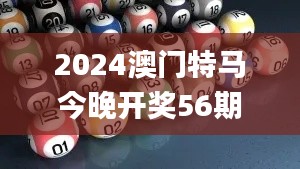 2024澳门特马今晚开奖56期的,现象分析定义_THL3.99