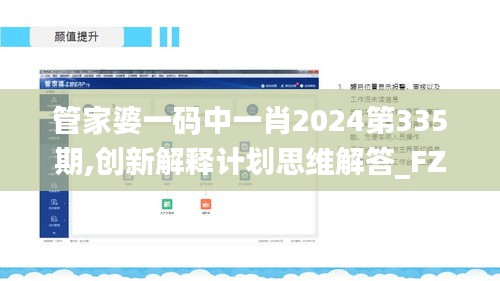 管家婆一码中一肖2024第335期,创新解释计划思维解答_FZF8.21