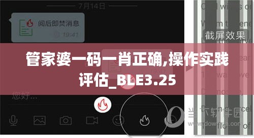 管家婆一码一肖正确,操作实践评估_BLE3.25