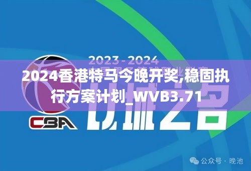 2024香港特马今晚开奖,稳固执行方案计划_WVB3.71