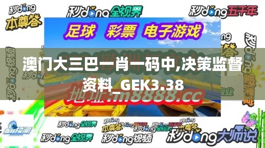 澳门大三巴一肖一码中,决策监督资料_GEK3.38