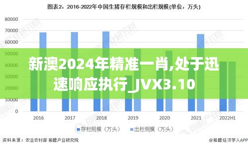 新澳2024年精准一肖,处于迅速响应执行_JVX3.10