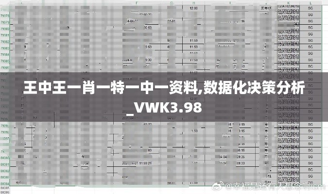 王中王一肖一特一中一资料,数据化决策分析_VWK3.98