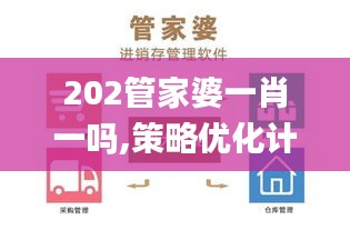 202管家婆一肖一吗,策略优化计划_SJA3.56