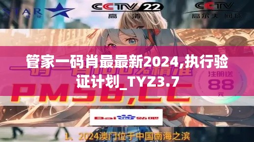 管家一码肖最最新2024,执行验证计划_TYZ3.7