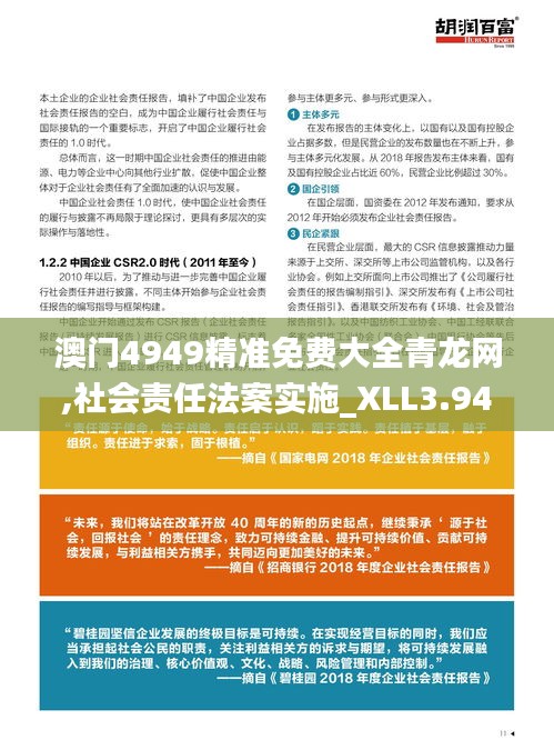 澳门4949精准免费大全青龙网,社会责任法案实施_XLL3.94