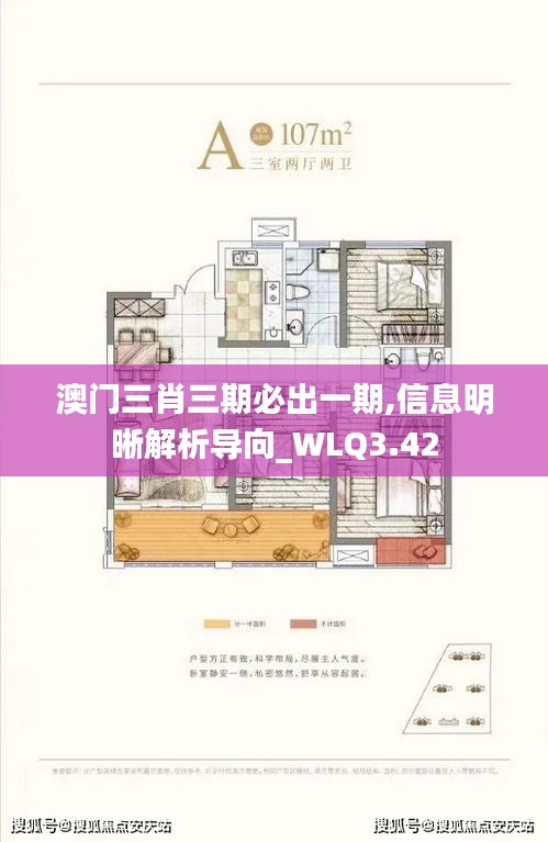 澳门三肖三期必出一期,信息明晰解析导向_WLQ3.42