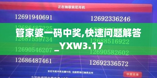 管家婆一码中奖,快速问题解答_YXW3.17