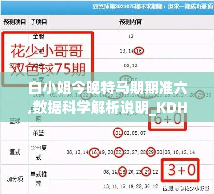 白小姐今晚特马期期准六,数据科学解析说明_KDH3.58